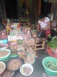 Ethnobotany &amp; Ethnomedicine &lt;br&gt;